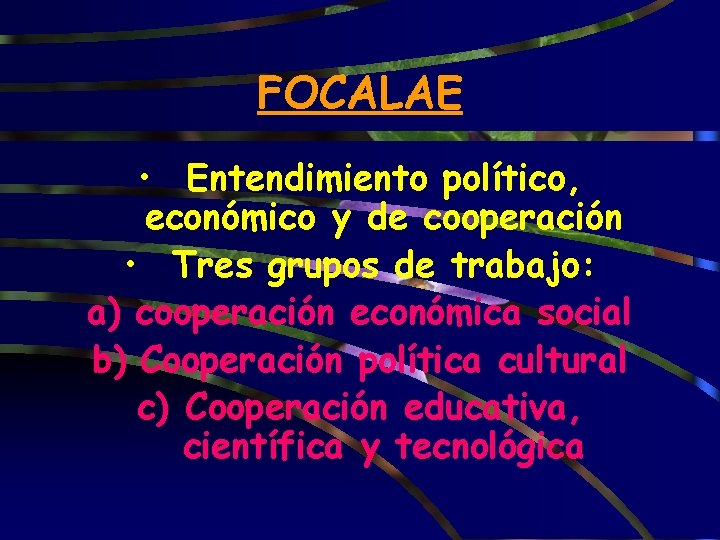 FOCALAE • Entendimiento político, económico y de cooperación • Tres grupos de trabajo: a)