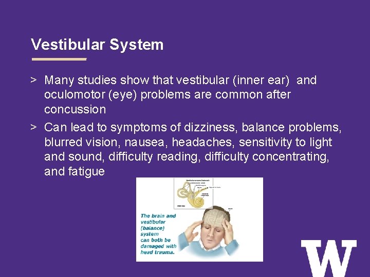 Vestibular System > Many studies show that vestibular (inner ear) and oculomotor (eye) problems