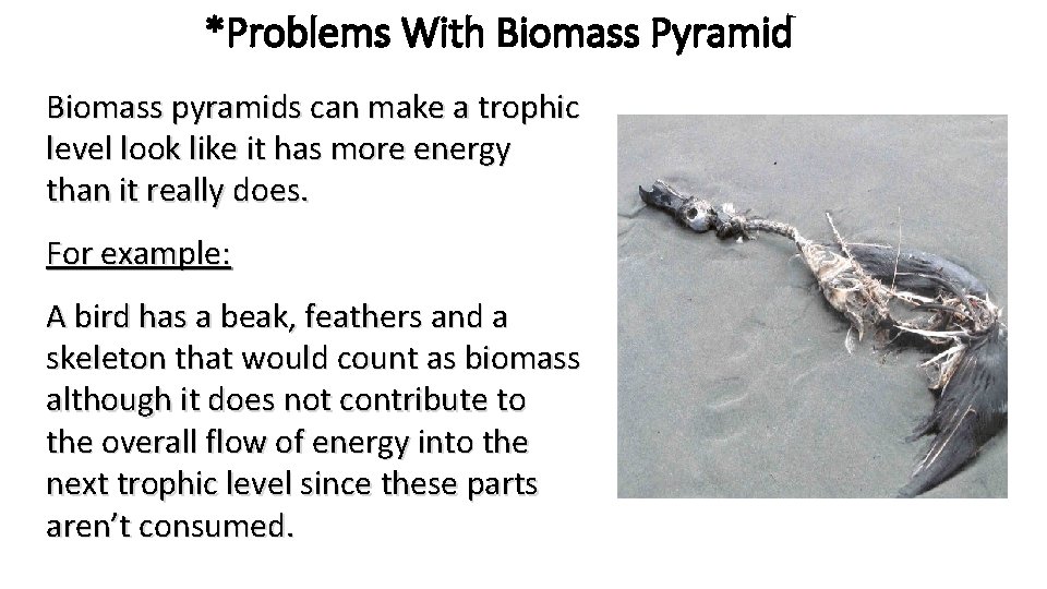 *Problems With Biomass Pyramid Biomass pyramids can make a trophic level look like it