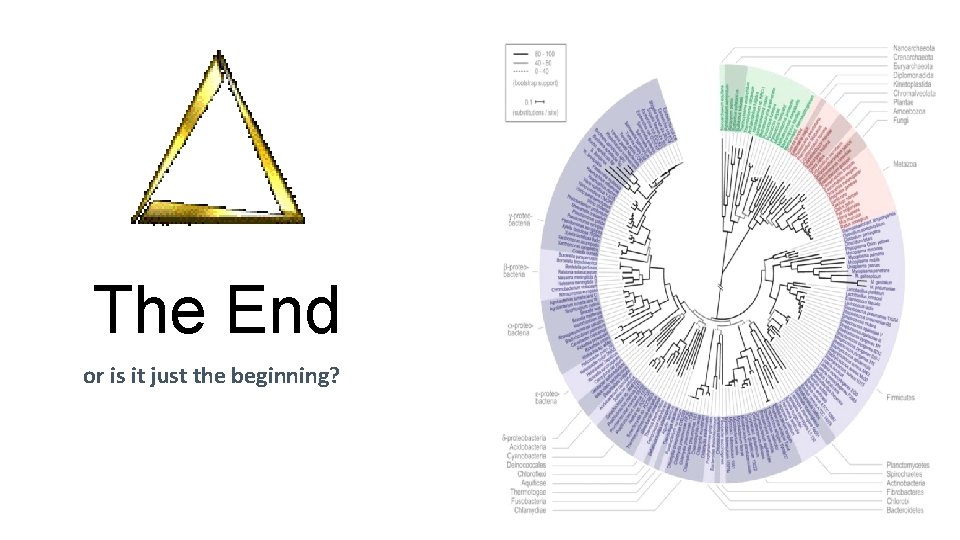 The End or is it just the beginning? 