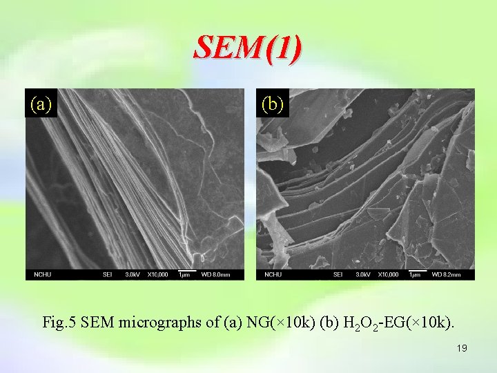 SEM(1) (a) (b) Fig. 5 SEM micrographs of (a) NG(× 10 k) (b) H