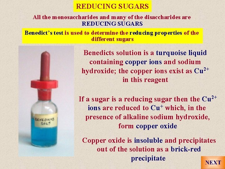 REDUCING SUGARS All the monosaccharides and many of the disaccharides are REDUCING SUGARS Benedict’s