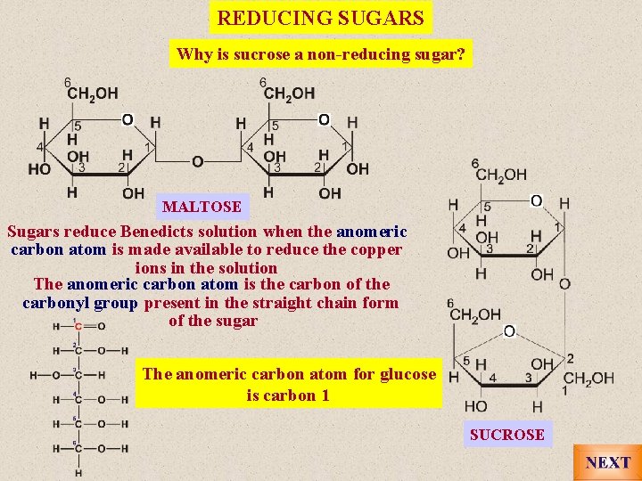REDUCING SUGARS Why is sucrose a non-reducing sugar? MALTOSE Sugars reduce Benedicts solution when