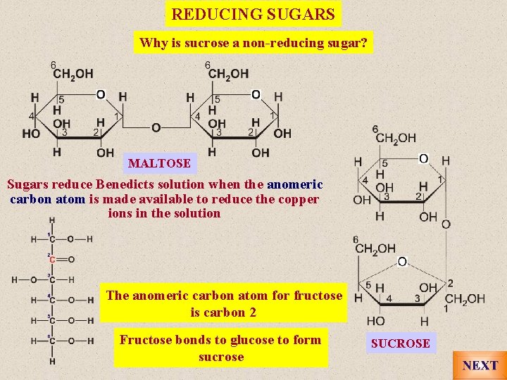 REDUCING SUGARS Why is sucrose a non-reducing sugar? MALTOSE Sugars reduce Benedicts solution when