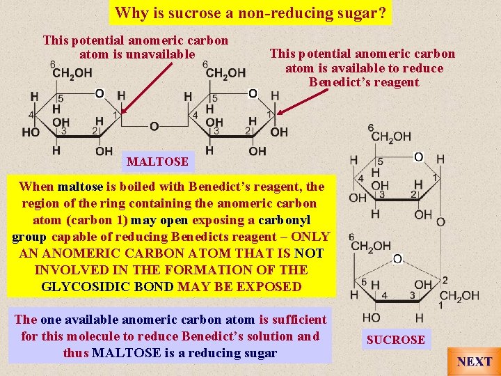 Why is sucrose a non-reducing sugar? This potential anomeric carbon atom is unavailable This