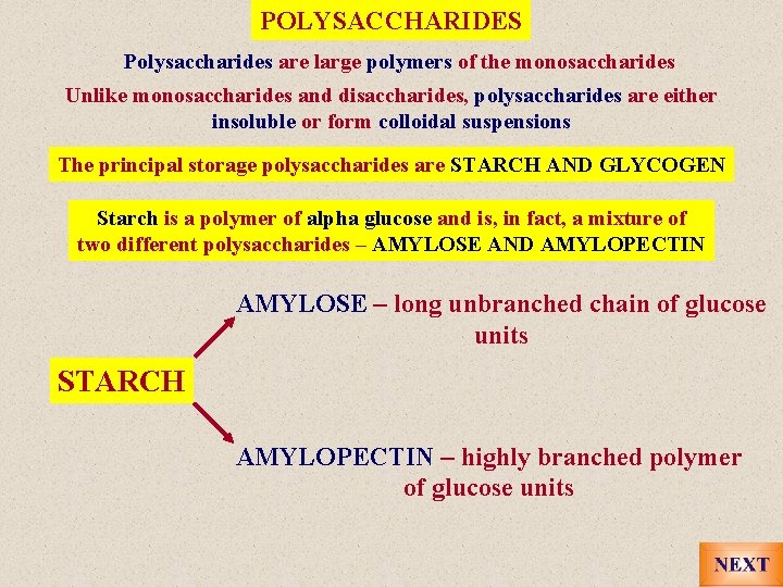 POLYSACCHARIDES Polysaccharides are large polymers of the monosaccharides Unlike monosaccharides and disaccharides, polysaccharides are