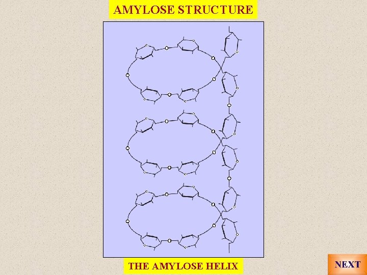 AMYLOSE STRUCTURE THE AMYLOSE HELIX 
