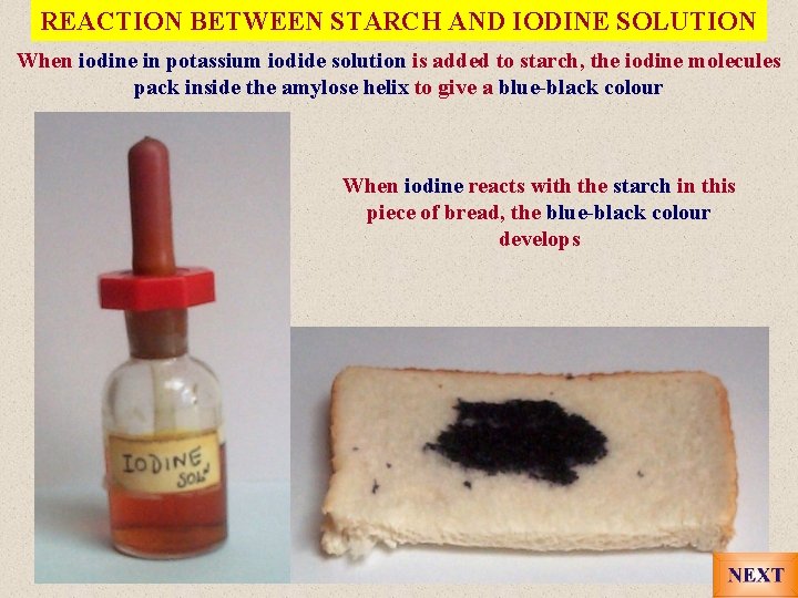 REACTION BETWEEN STARCH AND IODINE SOLUTION When iodine in potassium iodide solution is added