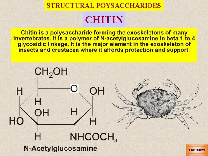 STRUCTURAL POYSACCHARIDES CHITIN 