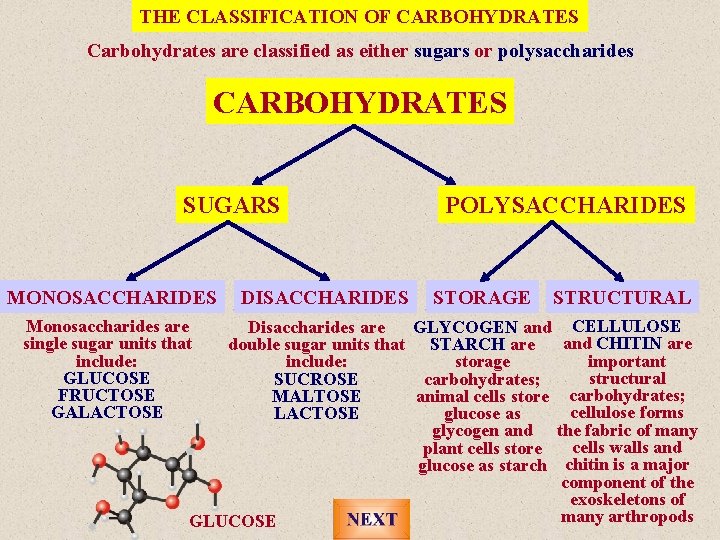 THE CLASSIFICATION OF CARBOHYDRATES Carbohydrates are classified as either sugars or polysaccharides CARBOHYDRATES SUGARS