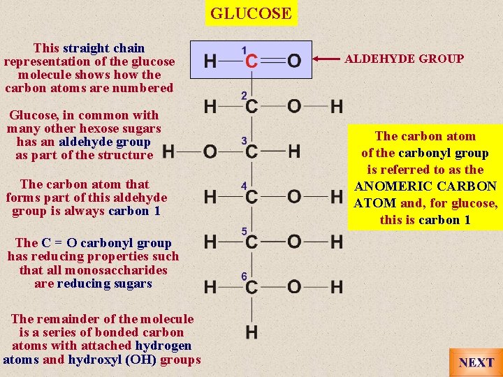 GLUCOSE This straight chain representation of the glucose molecule shows how the carbon atoms