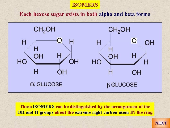 ISOMERS Each hexose sugar exists in both alpha and beta forms These ISOMERS can