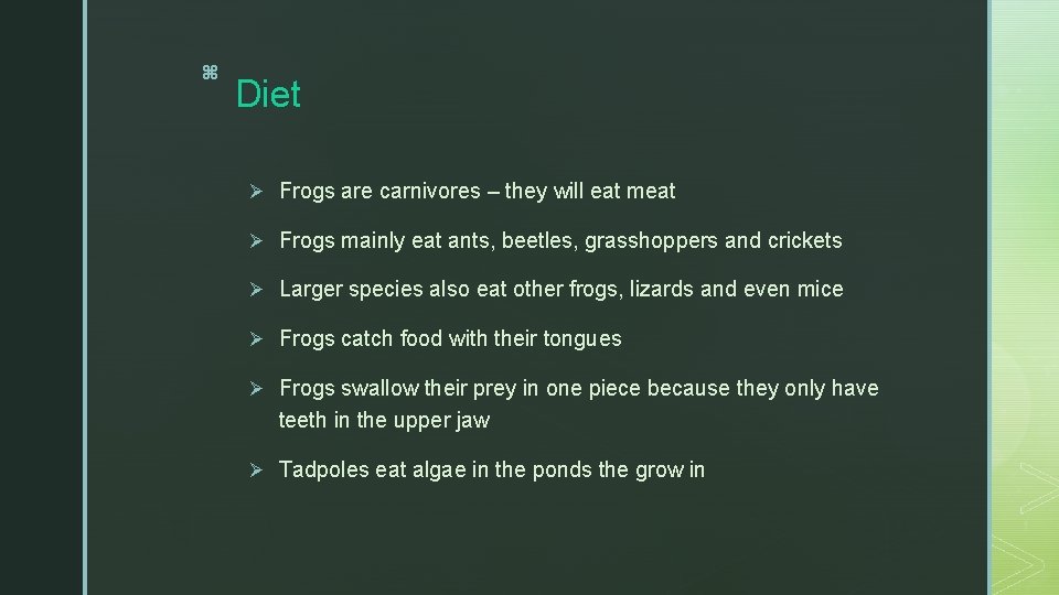 z Diet Ø Frogs are carnivores – they will eat meat Ø Frogs mainly