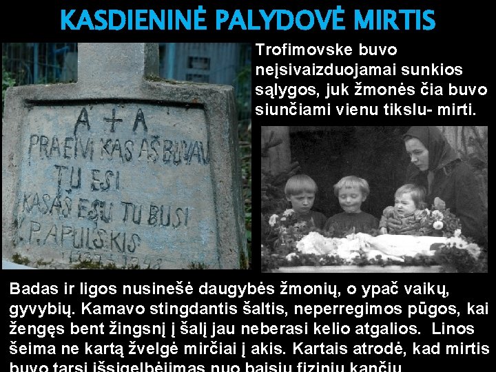 KASDIENINĖ PALYDOVĖ MIRTIS Trofimovske buvo neįsivaizduojamai sunkios sąlygos, juk žmonės čia buvo siunčiami vienu