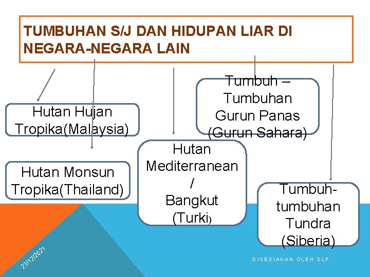 TUMBUHAN S/J DAN HIDUPAN LIAR DI NEGARA-NEGARA LAIN Hutan Hujan Tropika(Malaysia) Hutan Monsun Tropika(Thailand)