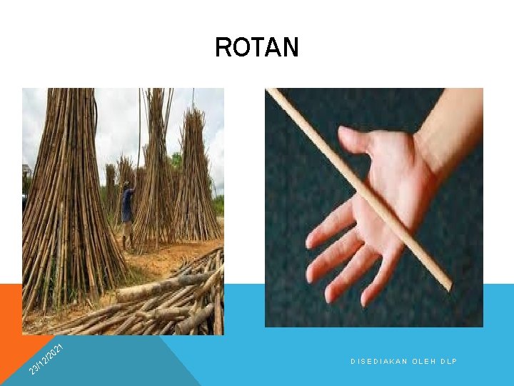 ROTAN 21 2 0 /2 2 1 3/ DISEDIAKAN OLEH DLP 