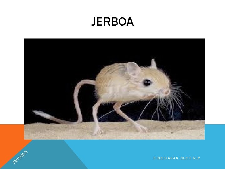 JERBOA 21 2 0 /2 2 1 3/ DISEDIAKAN OLEH DLP 