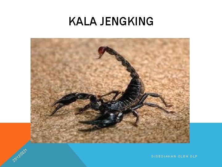 KALA JENGKING 21 2 0 /2 2 1 3/ DISEDIAKAN OLEH DLP 