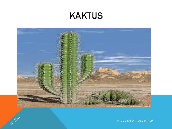 KAKTUS 21 2 0 /2 2 1 3/ DISEDIAKAN OLEH DLP 