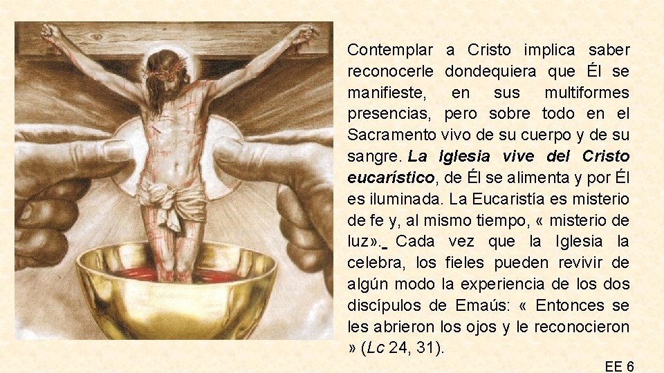 Contemplar a Cristo implica saber reconocerle dondequiera que Él se manifieste, en sus multiformes