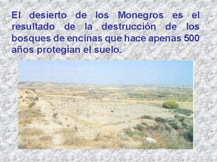 El desierto de los Monegros es el resultado de la destrucción de los bosques