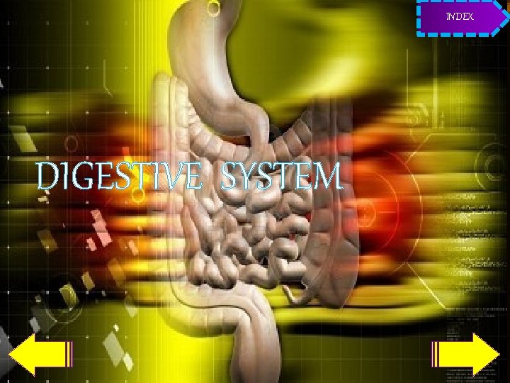 INDEX DIGESTIVE SYSTEM 