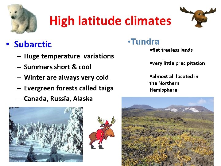 High latitude climates • Subarctic – – – Huge temperature variations Summers short &