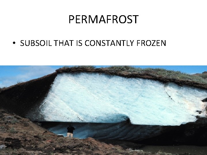 PERMAFROST • SUBSOIL THAT IS CONSTANTLY FROZEN 
