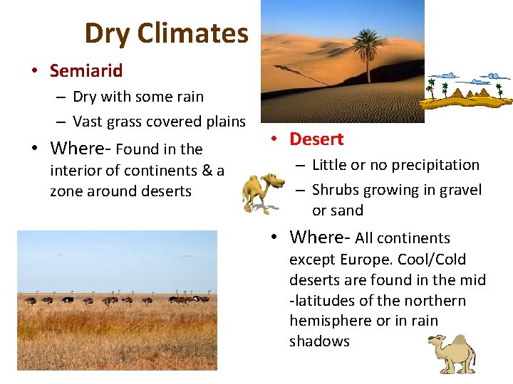 Dry Climates • Semiarid – Dry with some rain – Vast grass covered plains