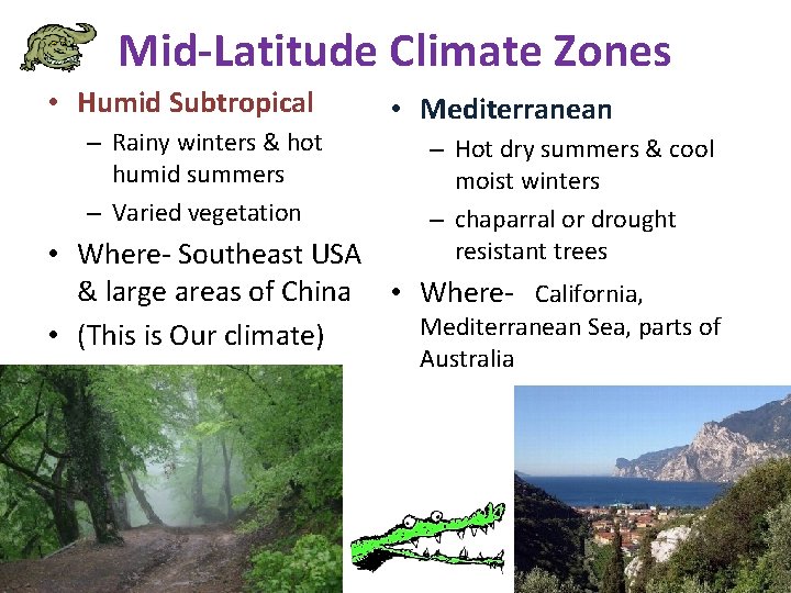 Mid-Latitude Climate Zones • Humid Subtropical – Rainy winters & hot humid summers –