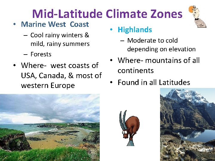 Mid-Latitude Climate Zones • Marine West Coast – Cool rainy winters & mild, rainy