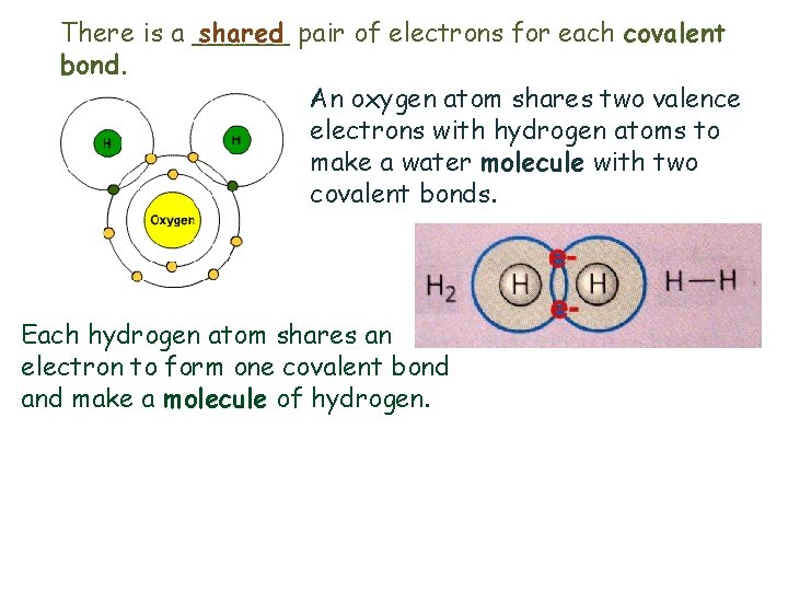 There is a ______ shared pair of electrons for each covalent bond. An oxygen