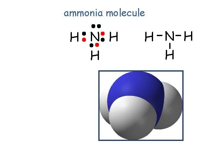 ammonia molecule H N H H 
