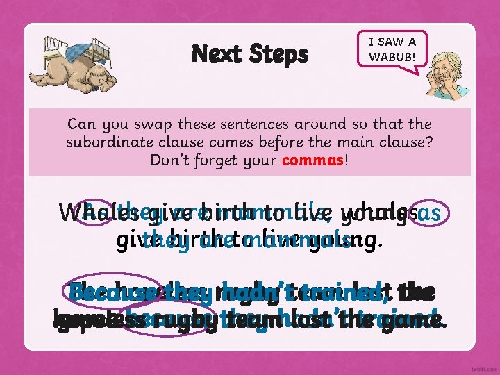 Next Steps I SAW A WABUB! Can you swap these sentences around so that