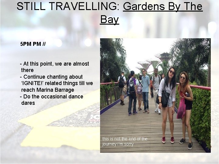 STILL TRAVELLING: Gardens By The Bay 5 PM PM // - At this point,