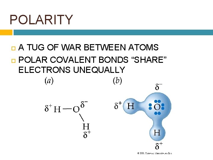 POLARITY A TUG OF WAR BETWEEN ATOMS POLAR COVALENT BONDS “SHARE” ELECTRONS UNEQUALLY 
