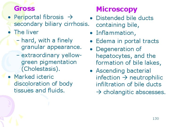Gross • Periportal fibrosis • secondary biliary cirrhosis. • The liver • – hard,