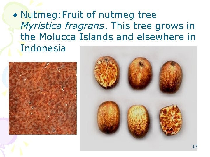  • Nutmeg: Fruit of nutmeg tree Myristica fragrans. This tree grows in the