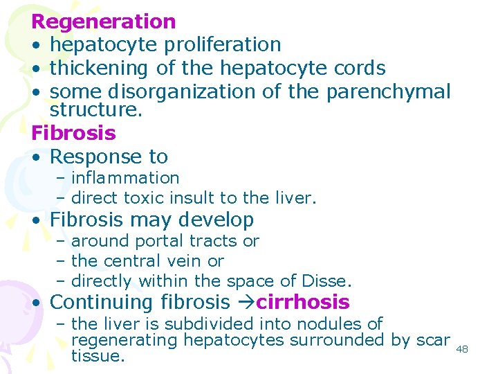 Regeneration • hepatocyte proliferation • thickening of the hepatocyte cords • some disorganization of