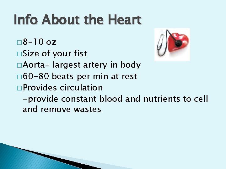 Info About the Heart � 8 -10 oz � Size of your fist �