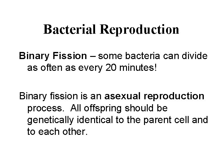 Bacterial Reproduction Binary Fission – some bacteria can divide as often as every 20