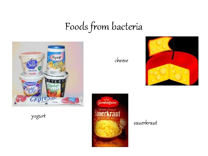 Foods from bacteria cheese yogurt sauerkraut 