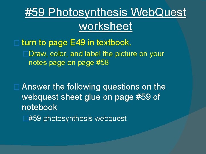 #59 Photosynthesis Web. Quest worksheet � turn to page E 49 in textbook. �Draw,
