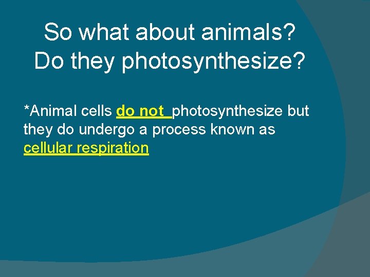 So what about animals? Do they photosynthesize? *Animal cells do not photosynthesize but they