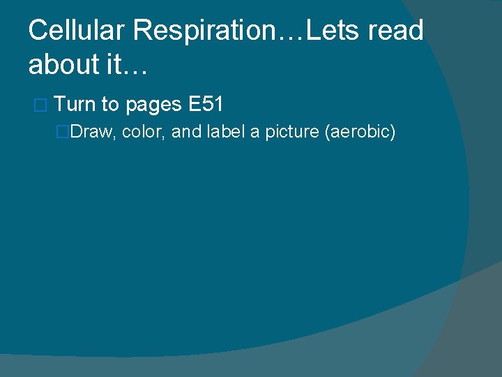 Cellular Respiration…Lets read about it… � Turn to pages E 51 �Draw, color, and