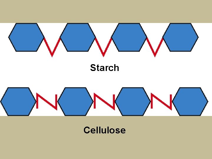Starch Cellulose 