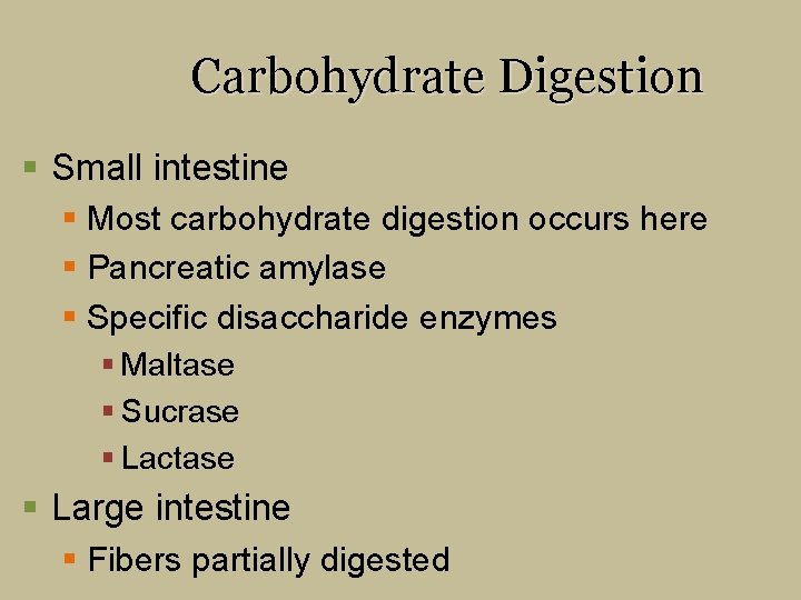 Carbohydrate Digestion § Small intestine § Most carbohydrate digestion occurs here § Pancreatic amylase