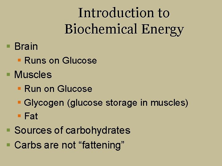 Introduction to Biochemical Energy § Brain § Runs on Glucose § Muscles § Run