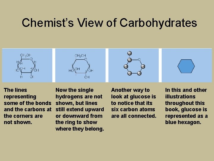Chemist’s View of Carbohydrates The lines representing some of the bonds and the carbons