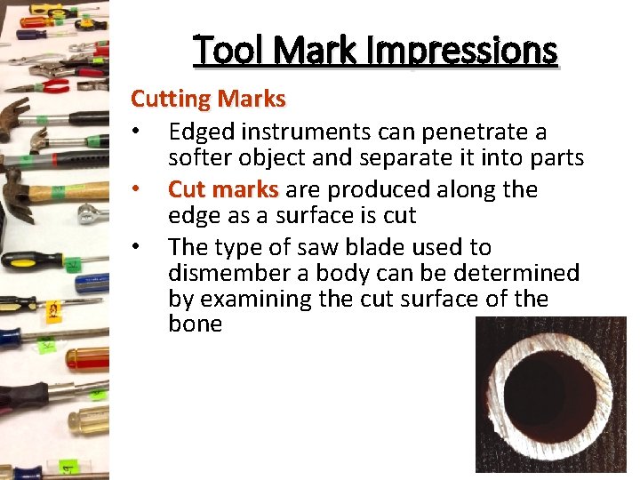 Tool Mark Impressions Cutting Marks • Edged instruments can penetrate a softer object and Tool Mark Impressions Cutting Marks • Edged instruments can penetrate a softer object and